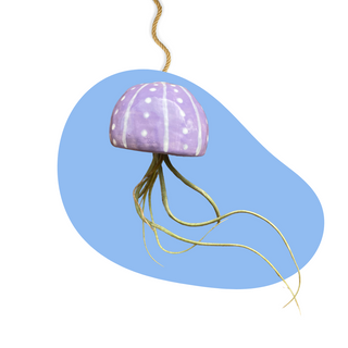 Make Your Own Plant Pot or Vase Workshop with The Nature Connection | Needham, MA