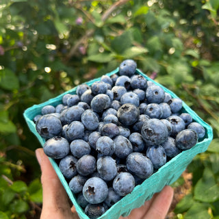 Pottery Workshops at Ward’s Berry Farm | Sharon, MA