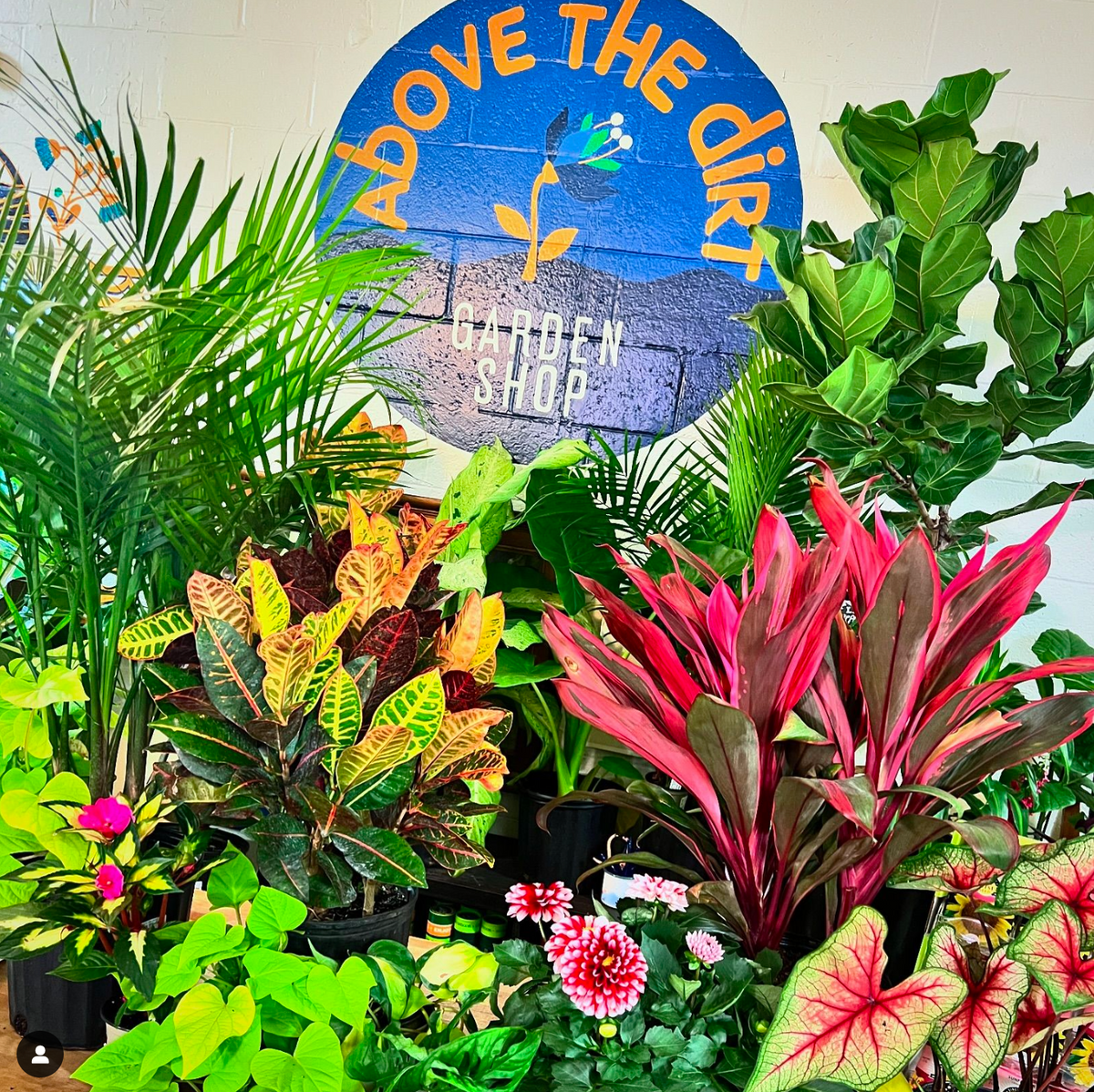 Make Your Own Plant Pot Pottery Class — 3/1 (Louisville KY)