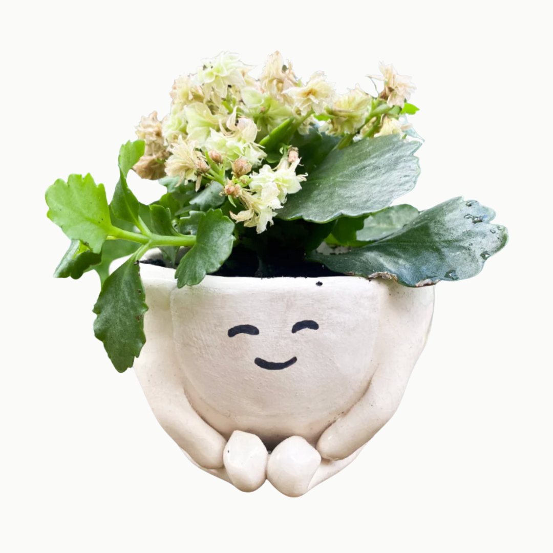 Make Your Own Planter on the Patio Pottery Class — 7/17 (Brighton MA)