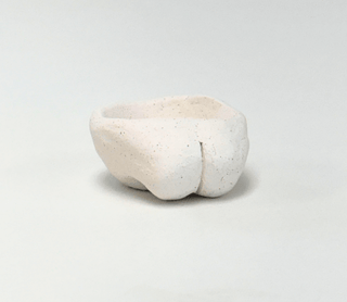 Pottery Workshops at Jordan's Jungle | Pawtucket, RI (Multiple Dates)