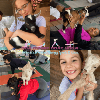 Collage of children interacting with goats during yoga sessions.