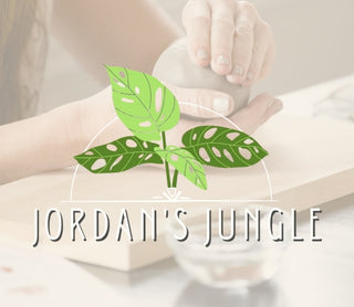 Pottery Workshops at Jordan's Jungle | Pawtucket, RI (Multiple Dates)