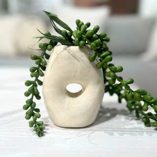 Donut-shaped vase with green plant on a light surface